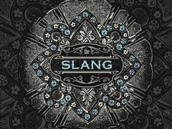 Image for The Slang