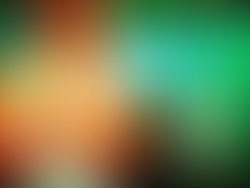 1455762946 bruce pic