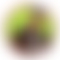 Screenshot 20220923 143044 1663968907445