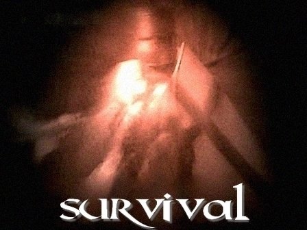 ReverbNation profile picture for @survival