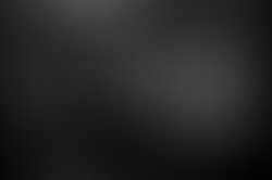 1382432536 propeller palms   007