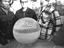 Shagg