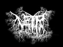 Vetr