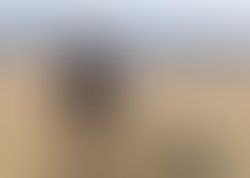 Scottmiller 3credittashathomas