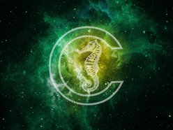 Image for The Calefaction