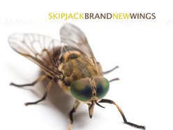 Image for SKIPJACK