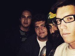 Image for The Ladyfingers