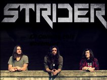 Strider