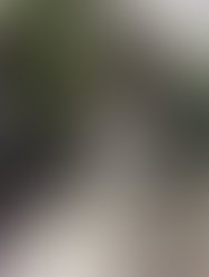 645ed288 0f94 4eed a297 f740a9bee05a