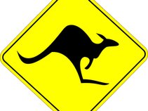Fredfin Wallaby