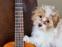 Kentlands Acoustic Jam
