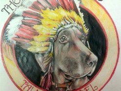 Image for The Brown Goose