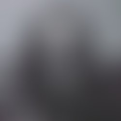 Artist 3730086 1556390445