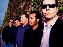 Feel The Fall Interview