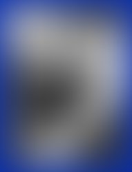 1383787028 dion6string crop at70 blubg