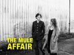 The Mule Affair