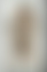 1384017300 img 20105279262686