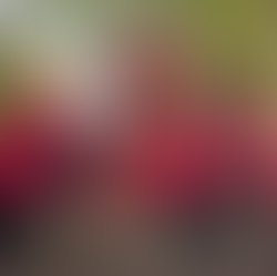 Ae9578e645f09540ebdb90afbd0e530c960ccde3