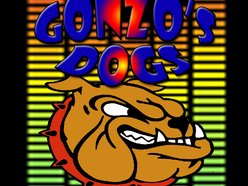 Image for Gonzo's Dogs