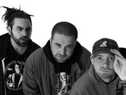 The Funkoars