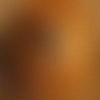 1384363408 avatars 000015945281 4kum5c t200x200