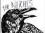 The Nitches (Artist)