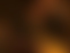 N1236930025 81202 8712 1288922184 1288922500