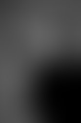 1384411543 clearimages ossium websized 4