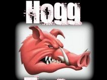 Hogg Team