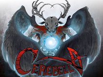 Cerebella