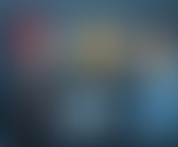 1358804156 beesdeluxe jan2013 collage