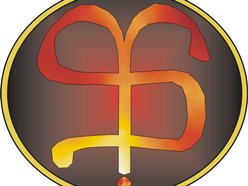 Image for Sticky D