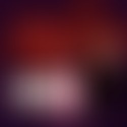 Img 20200529 wa0049