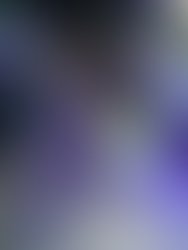 Artist 3771408 1484622675