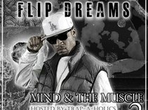 Flip Dreams