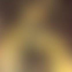 Artist 3771905 1559180321