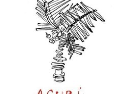 Image for ACURI