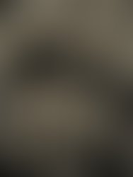 Img 20161215 003109