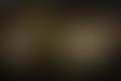 L e6f23bebe886472eb8c1e75987191ab8 1240351876