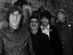 Image for The Flamin' Groovies