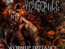 Image for Vengeance within
