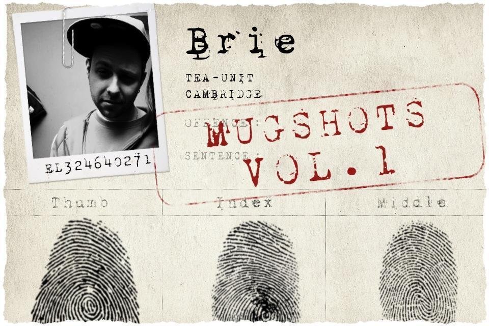 ReverbNation profile picture for @brie
