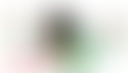 3192bb91 d77f 4079 afd8 2f6bacd1aaac