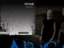 ABiCA