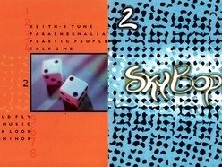 Image for SKY BOP FLY