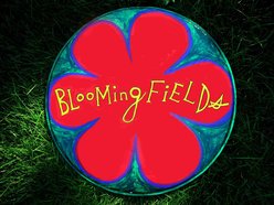 Image for The Bloomingfields