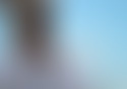 Lee 5bd34e1540419 image