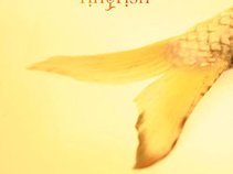 Tinyfish