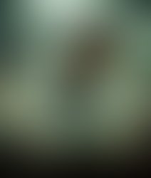 1386733158 my 335f0a 2296536