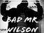 Bad Mr Wilson™